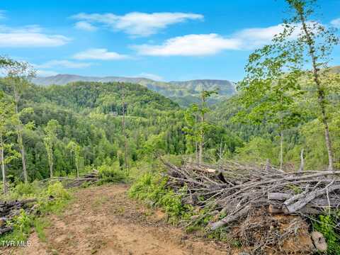 59.8 Acres Willis Cove Road, Erwin, TN 37650