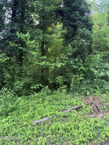 Lot 14 Ashley Street, Kingsport, TN 37664