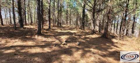 0 Lot 47 Saddleback Dr, DOVER, TN 37058