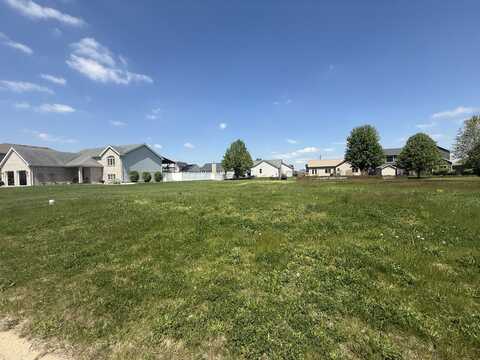 1034 Madison Avenue, Braidwood, IL 60408