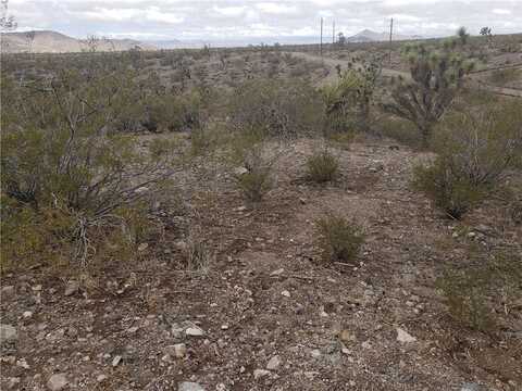 8446 & 8454 W Olema Drive, White Hills, AZ 86445