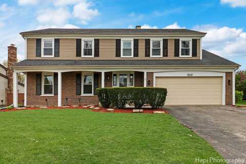 707 W Nichols Road, Arlington Heights, IL 60004