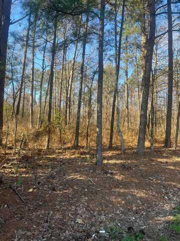 WALSTON BRIDGE Rd, Jasper, AL 35504