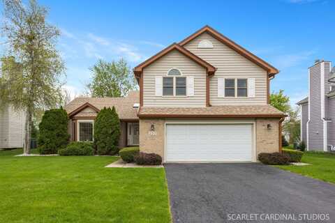 221 Ashley Court, Oswego, IL 60543