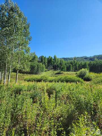 4032 S BUCK, Heber City, UT 84032