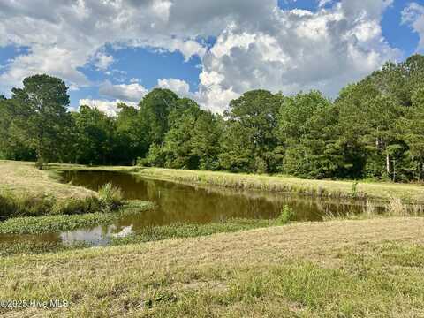 Near 2151 Dolph Lewis Road, Cerro Gordo, NC 28430