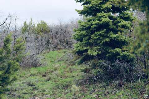 14055 S OAK RIDGE, Mount Pleasant, UT 84647