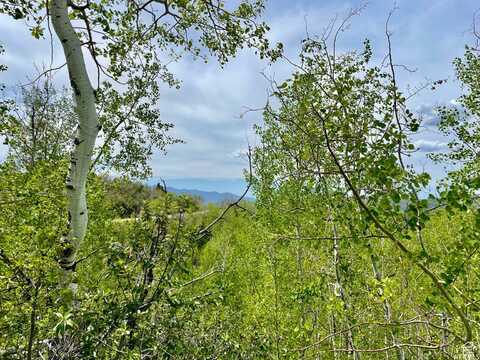 10445 E LAKE PINES, Heber City, UT 84032