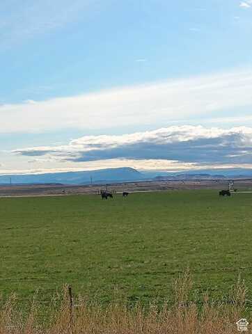 16313 E 5000 S, Randlett, UT 84063