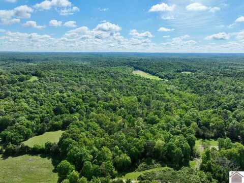 000 Donahue Road, Princeton, KY 42445