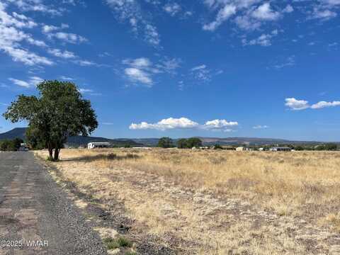 Tbd Tumbling T Drive, Springerville, AZ 85938