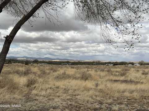 Tbd Tumbling T Drive, Springerville, AZ 85938