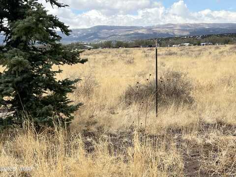 Tbd E Highway 60, Springerville, AZ 85938