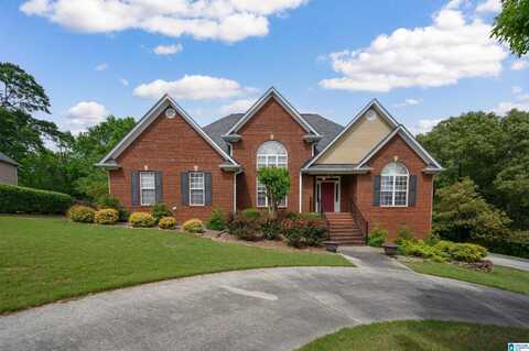 254 MACDONALD LAKE ROAD, SPRINGVILLE, AL 35146