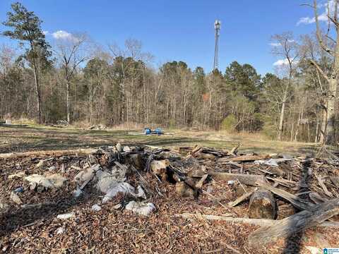 0 DOGWOOD DRIVE, ODENVILLE, AL 35120