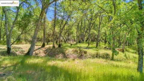17951 Crowbar LN, Tuolumne, CA 95379