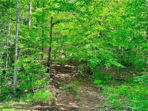 Tract Q The Bear Boulevard, Tamassee, SC 29686