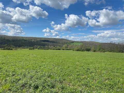 Cr-17, Belfast, NY 14739