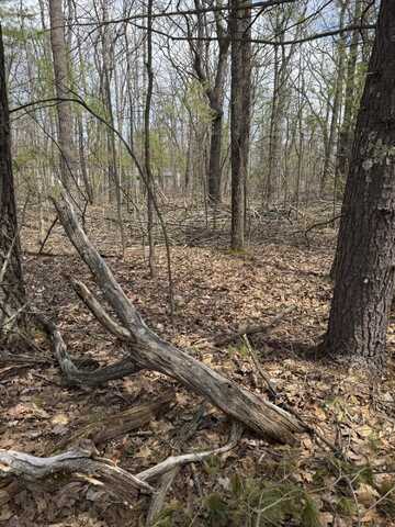 Lot 4 Birch St., Lewiston, MI 49756