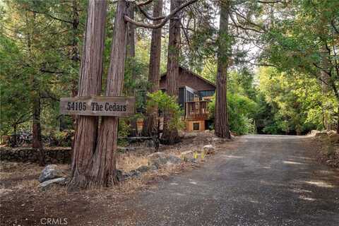 54105 S Circle Drive, Idyllwild, CA 92549
