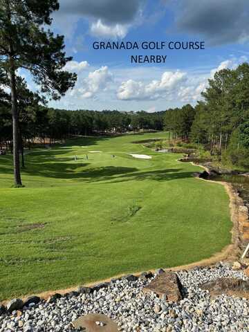 20 ASOMBROSO LANE, Hot Springs Village, AR 71909