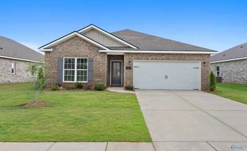 233 Jerrie Lynn Boulevard, Meridianville, AL 35759