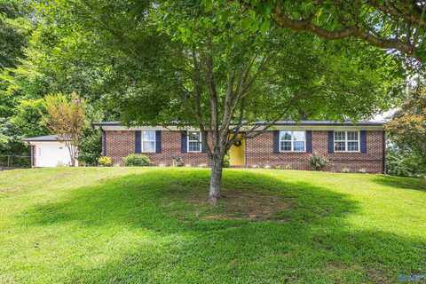 4233 Kimberly Drive, Guntersville, AL 35976
