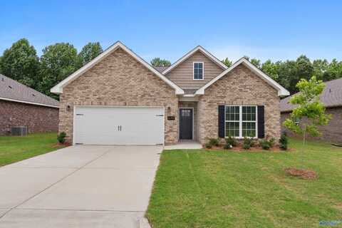 16749 Demi Drive, Athens, AL 35613