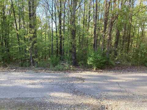 lot 10 Pine Ridge Rd, Rose Bud, AR 72137
