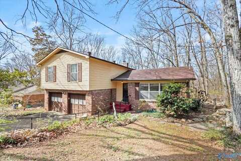 10104 Shades Road, Huntsville, AL 35803