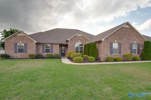 13095 Covington Drive, Athens, AL 35613