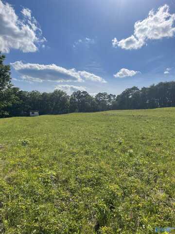 1779 County Road, Collinsville, AL 35961