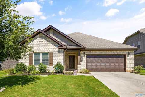 111 Grove Hill Circle, New Market, AL 35761