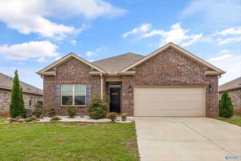 173 Kingsford Street, Meridianville, AL 35759
