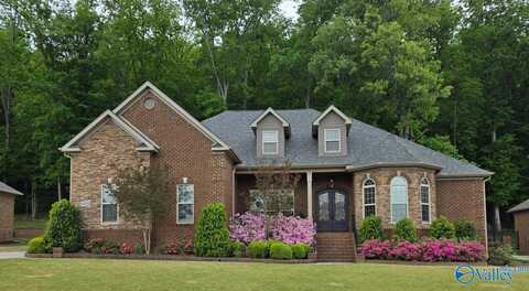8032 Goose Ridge Drive, Owens Cross Roads, AL 35763