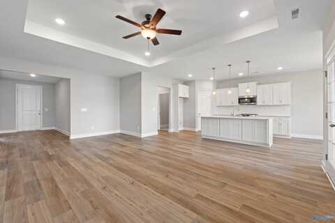 109 Lucy Lynn Boulevard, Meridianville, AL 35759