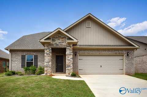 211 Portrait Street, Meridianville, AL 35759