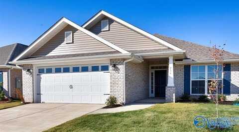 219 Alonzo Toney Drive, Madison, AL 35756