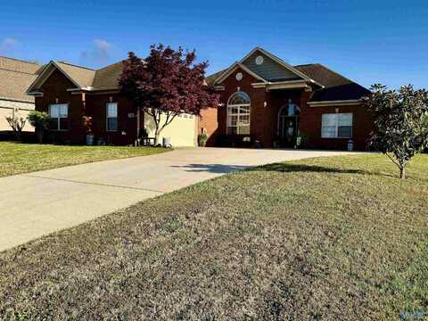 130 Davis Downs Road, Meridianville, AL 35759