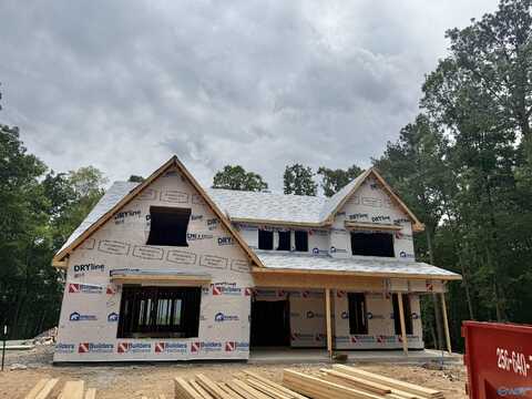 3611 Briarwood Lane, Guntersville, AL 35976