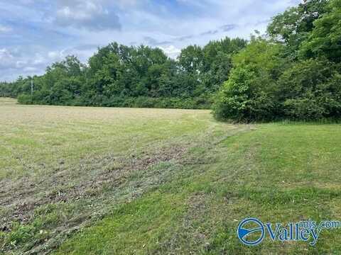 4.83 Yarbrough Road, Harvest, AL 35749