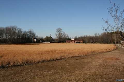 4.83 Yarbrough Road, Harvest, AL 35749