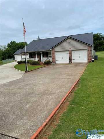11799 Pulaski Pike, Toney, AL 35773