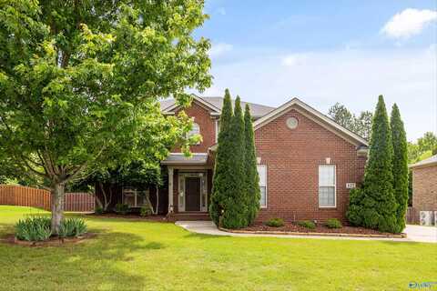 127 Morning Vista Drive, Madison, AL 35758