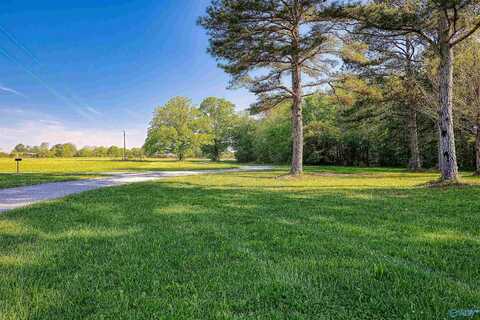 24552 Leatha Mae Way, Athens, AL 35613