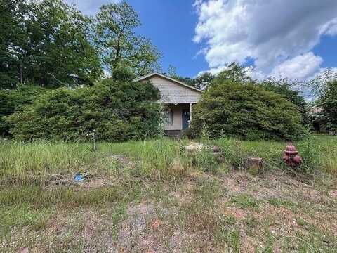 889 South Palmer Ave, Georgiana, AL 36033