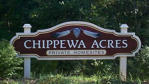 6631 CHIPPEWA TRAIL, INDIAN RIVER, MI 49749