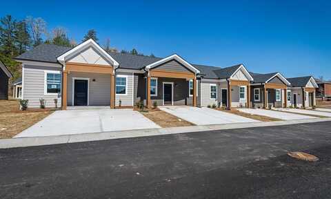 Unit 38 Grove Loop, Blue Ridge, GA 30513
