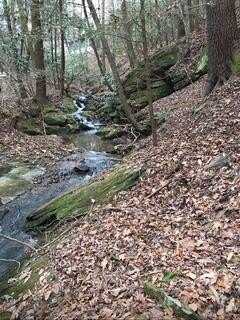 Lemmon Lane, Ellijay, GA 30540