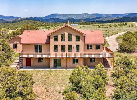 90 Riggs Road, Westcliffe, CO 81252